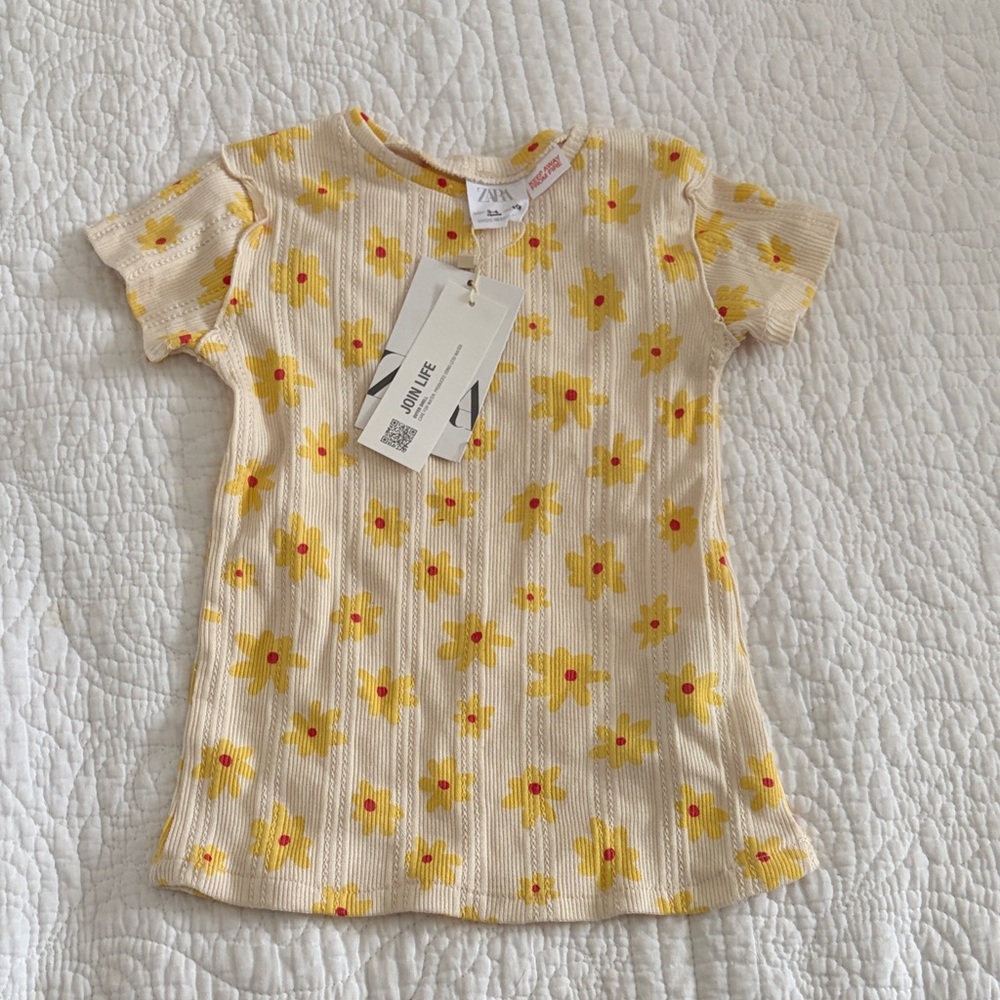 NWT Zara top